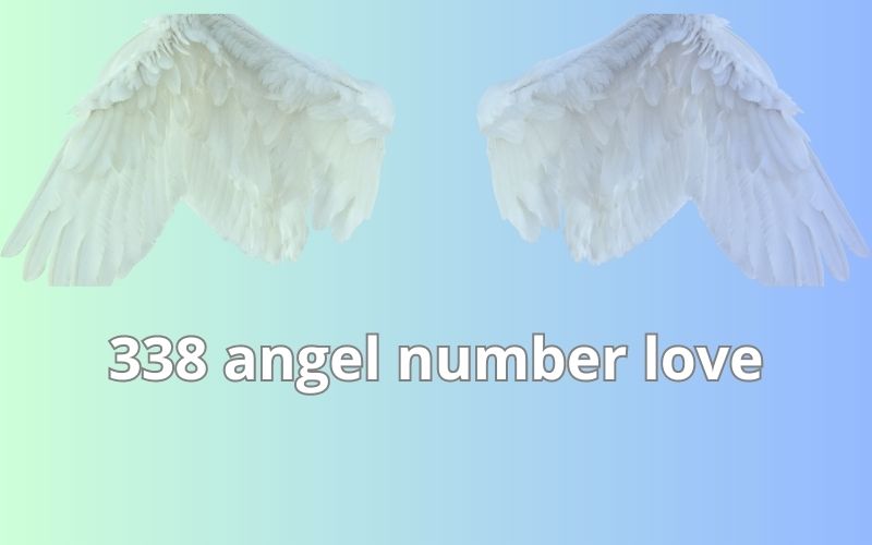 338 angel number love