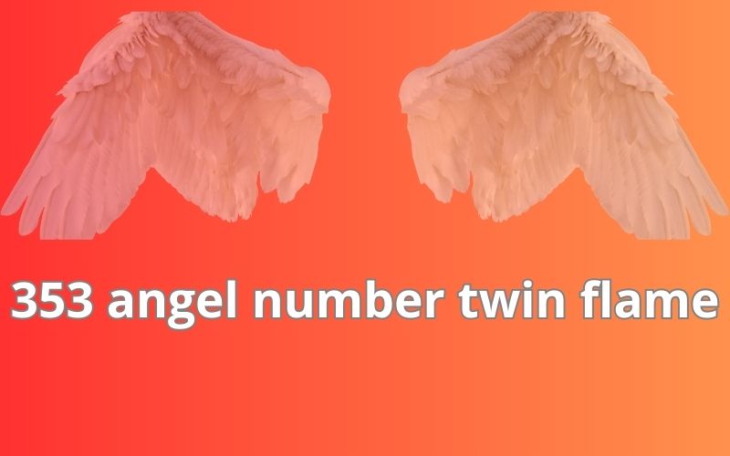 353 angel number twin flame