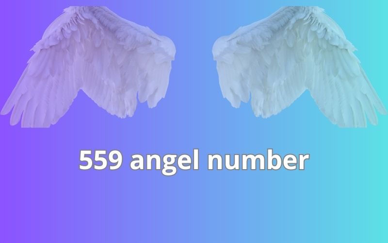 559 angel number