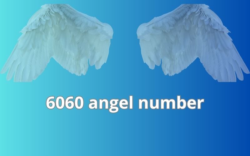 6060 angel number