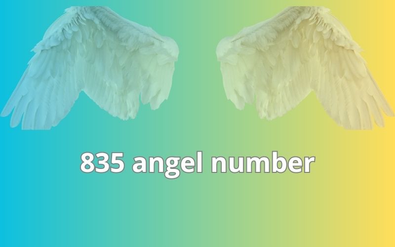 835 angel number