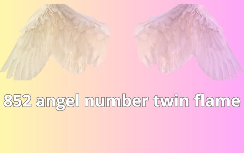 852 angel number twin flame