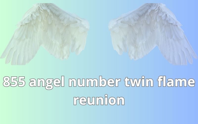 855 angel number twin flame reunion
