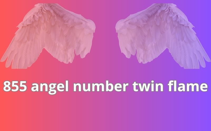 855 angel number twin flame